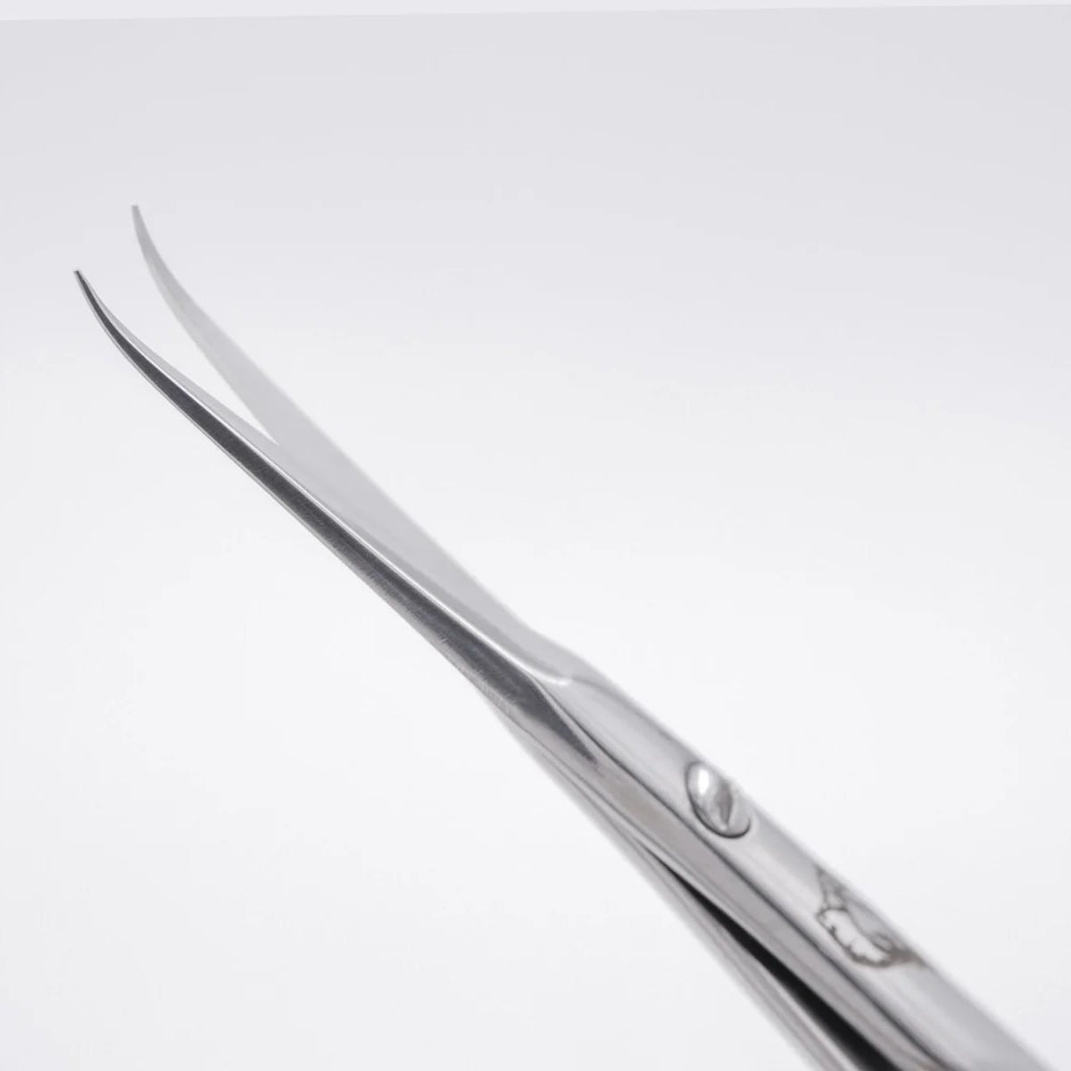 Cuticle Scissors STALEKS PRO Exclusive 21 Type 1, 21 mm - Level Up Beauty Supply
