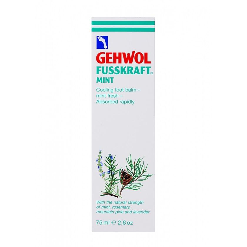 GEHWOL Fusskraft Mint, 75ml/ 2.6oz - Level Up Beauty Supply