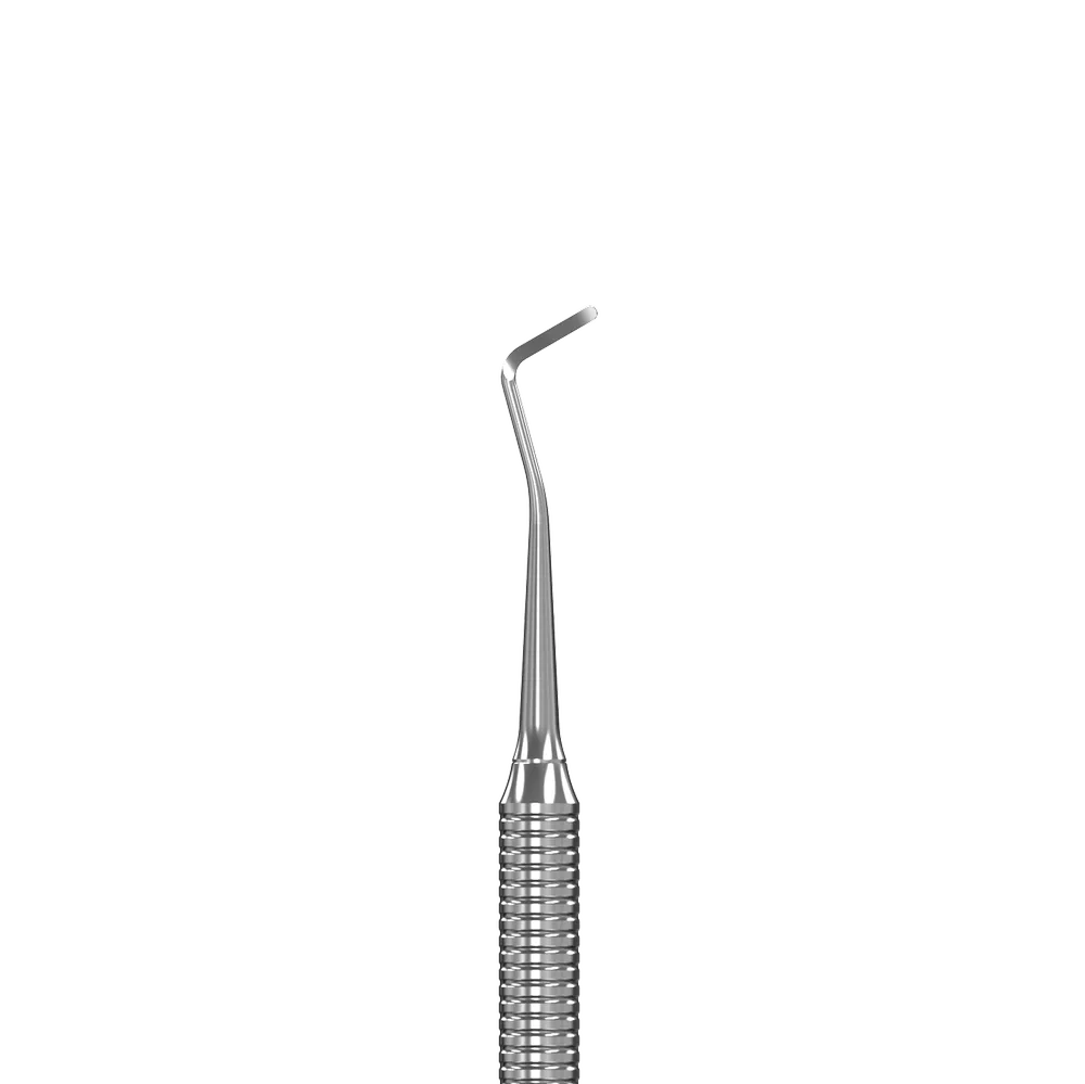 Ingrown Toenail File STALEKS EXPERT 20, Type 2