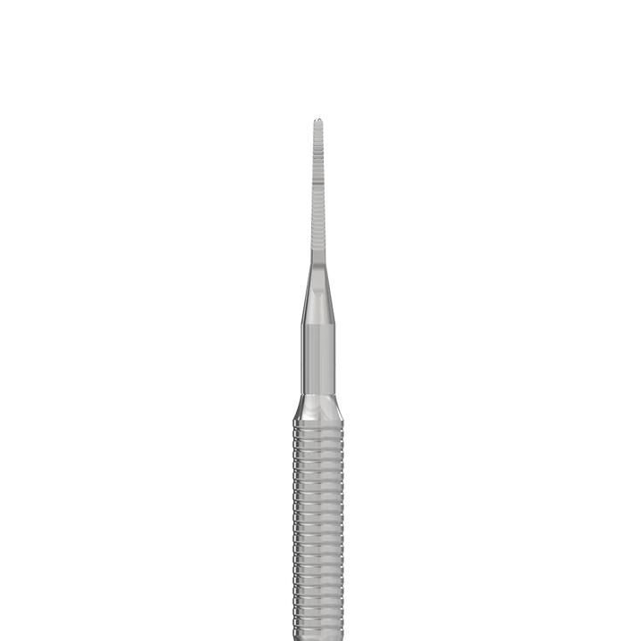 Ingrown Toenail File STALEKS EXPERT 60, Type 4