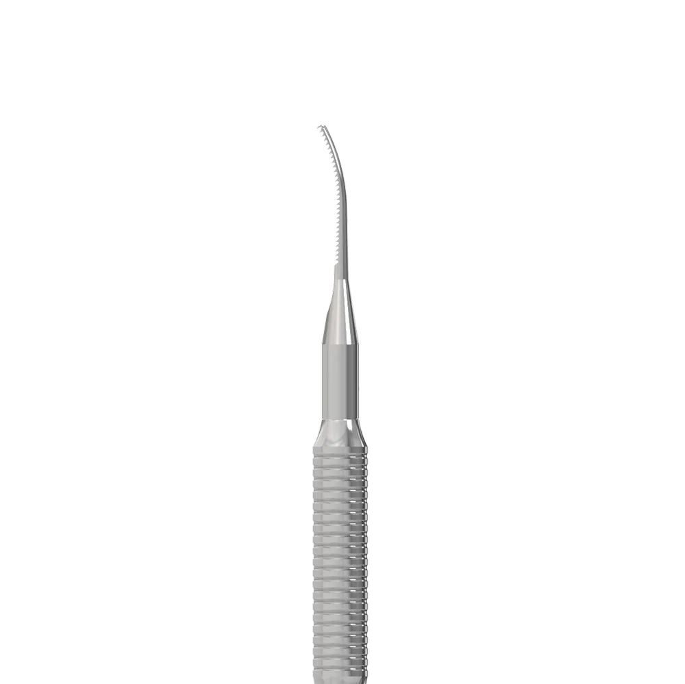 Ingrown Toenail File STALEKS EXPERT 60, Type 4