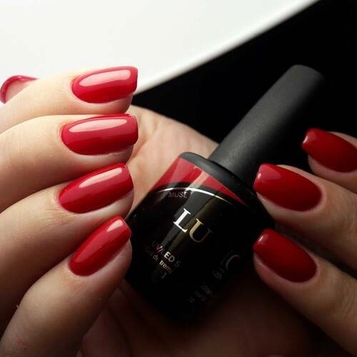 Luxio Colour gel - MUSE (Opaque) 15ml/.5oz - Level Up Beauty Supply